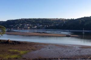 Beautiful Views along the River Fowley in Lerryn Cornwall (2a) edited-1